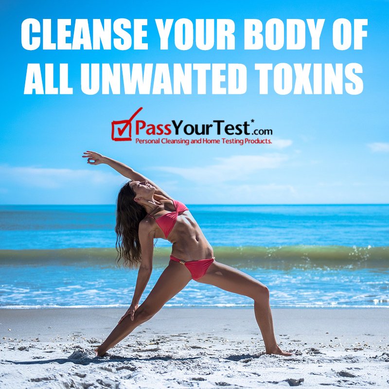 Pass_YourTest's tweet photo. Never worry about having a clean body again when you trust Pass Your Test for your detox needs!
••••••••••••••••••••••
Follow Pass Your Test for more 📲
https://t.co/Thj2bOp0c0
••••••••••••••••••••••
#PassYourTest #Detoxed #NoToxins https://t.co/GTiD7CcN4l