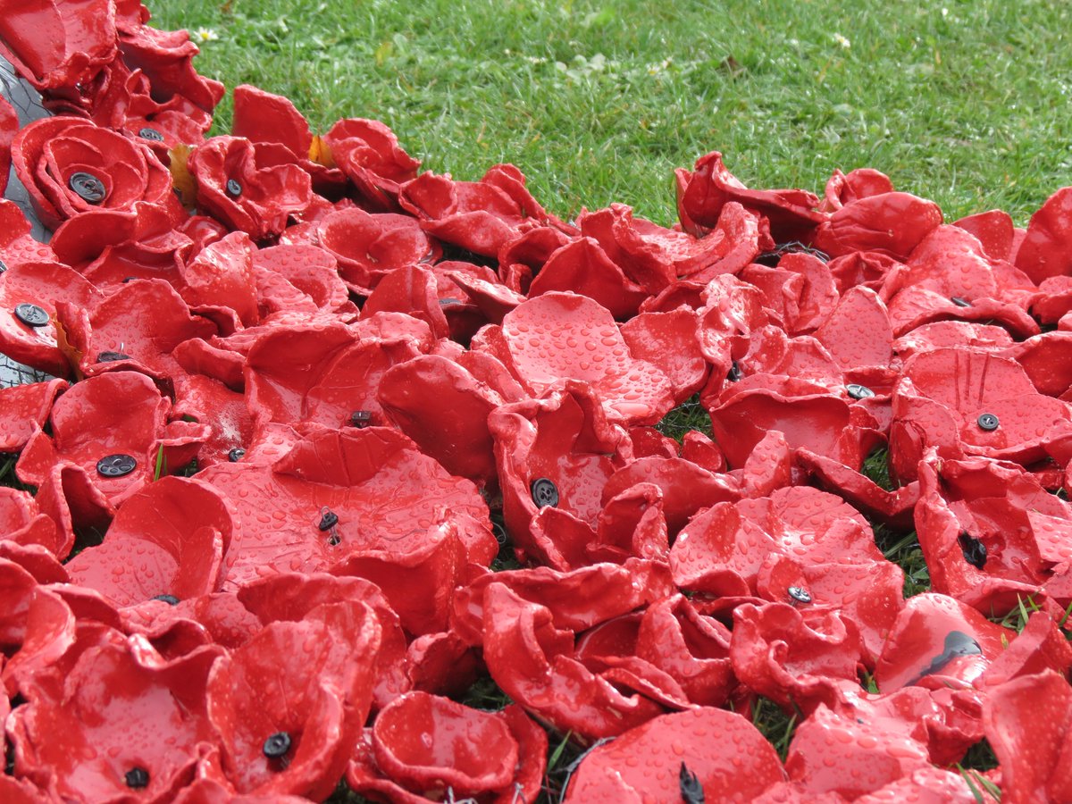 As part of our Remembrance Day ceremonies, the clay poppies display has now been installed and is a stunning visual reminder of this important and sobering anniversary. Thank you to all the students and staff who have worked so hard to make this display a reality.