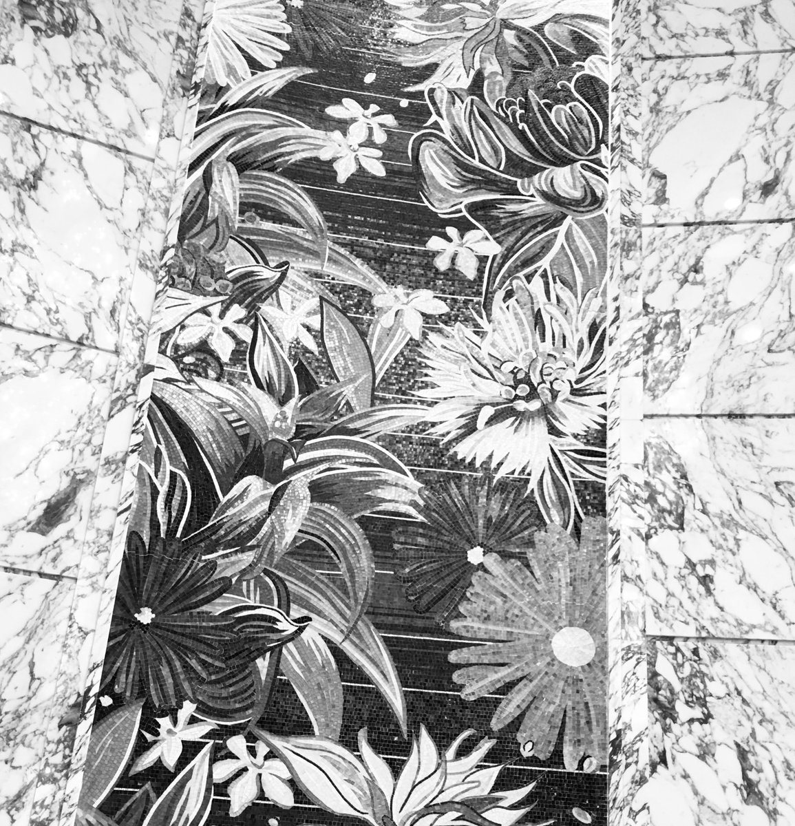 Day 7/7 #mylifeinblackandwhite 🚫 explanation, 🚫 people