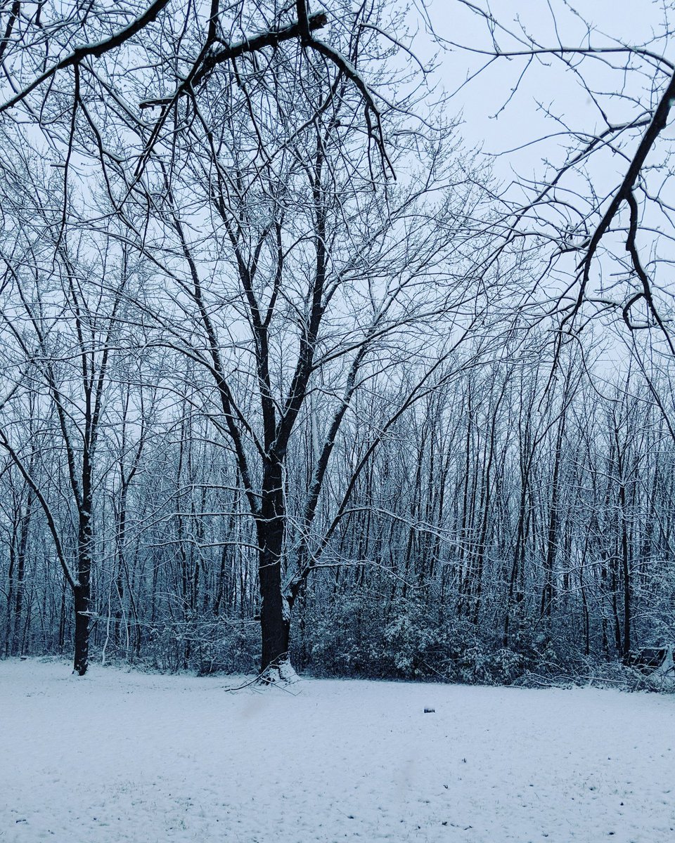 nanners59's tweet photo. I'll never outgrow the excitement of looking out my window and seeing snow falling. https://t.co/n4nHKwNqe8