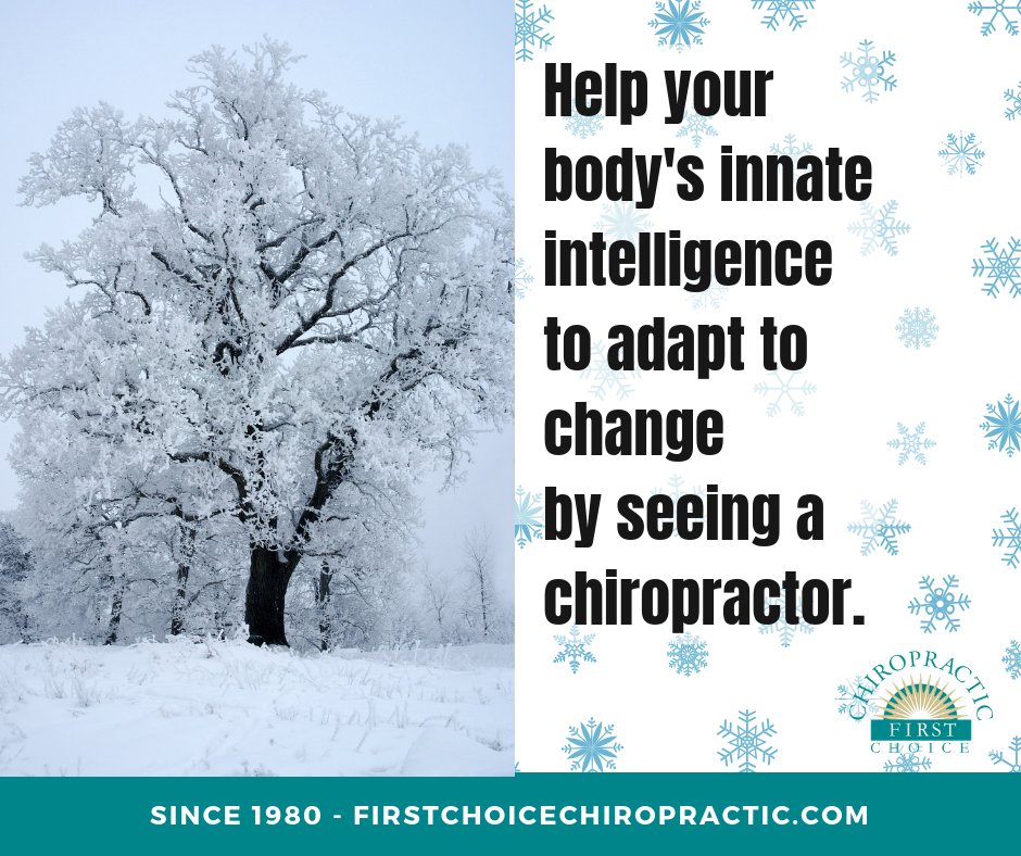 FirstChoiceA2's tweet image. Enjoy the first snowfall of the season! "Intelligence is the ability to adapt to change."--Stephen Hawking