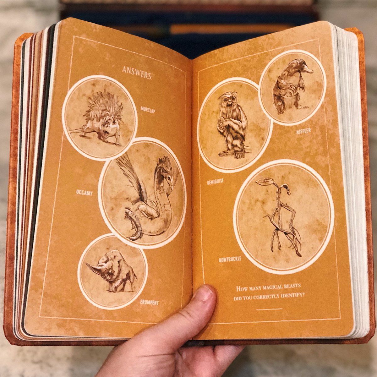 Witchcrafting & Wizardry (@witchcraft_wiz) on Twitter photo FIRST LOOK: “Fantastic Beasts, The Magizoologist’s Discovery Case” by <a href="/Running_Press/">Running Press</a> 
Coming Nov 13th 🤗💼 
runningpress.com/titles/donald-… FIRST LOOK: “Fantastic Beasts, The Magizoologist’s Discovery Case” by <a href="/Running_Press/">Running Press</a> 
Coming Nov 13th 🤗💼 
runningpress.com/titles/donald-…
