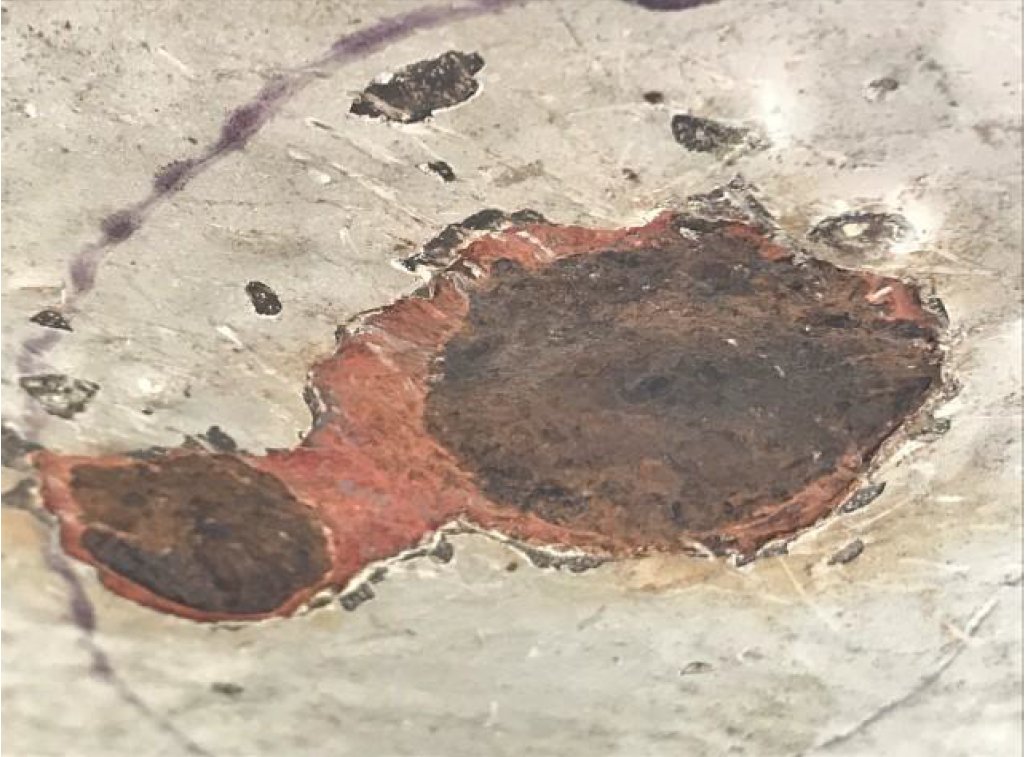 CSNRIComposites's tweet image. Clock Spring Contour repairs pitting on a jetty. A team of 2 installers completed the Contour repair in 2 days, restoring the line to safety without interrupting terminal operations.

bit.ly/2AVgNhi

#ClockSpringInc #Innovation #Contour #PipeRepair #OilandGas