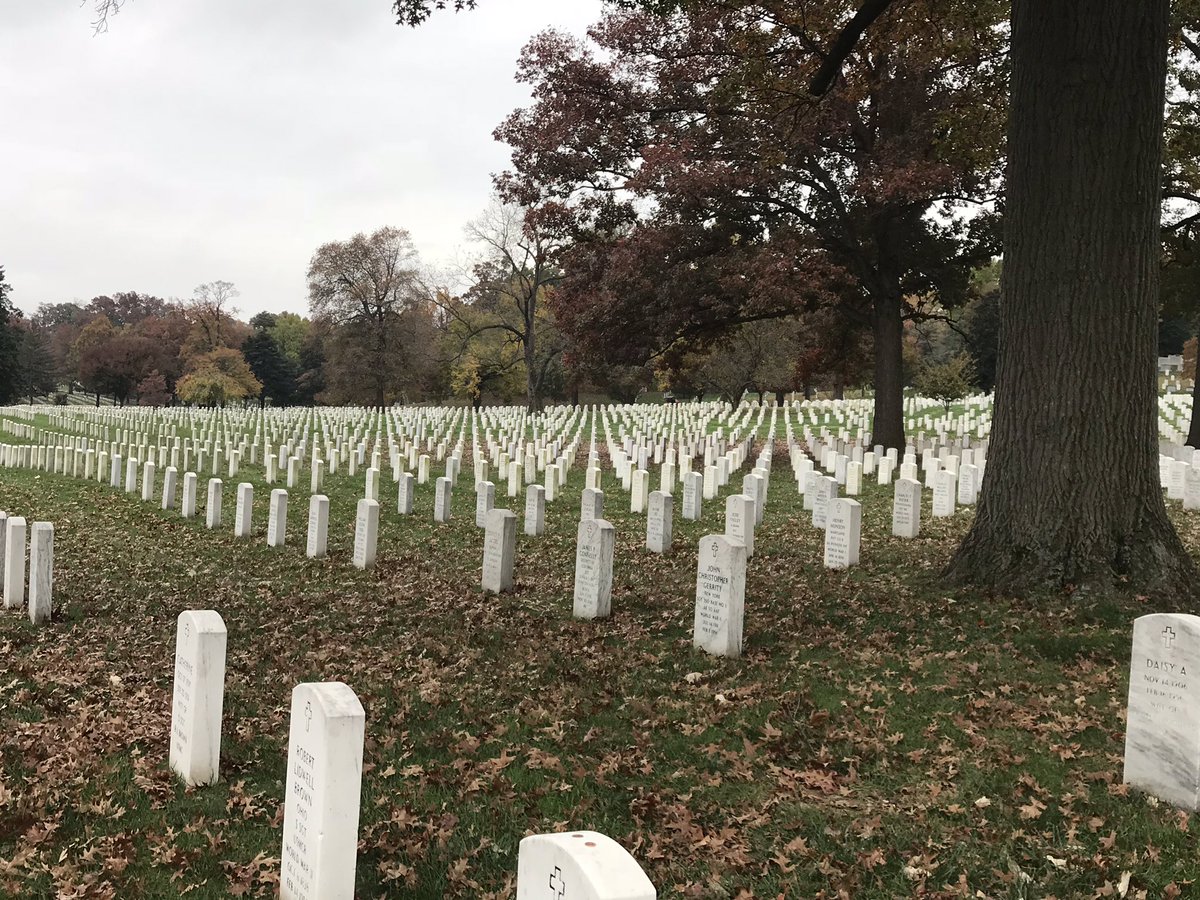 bus6to's tweet image. Arlington. #CMSDC