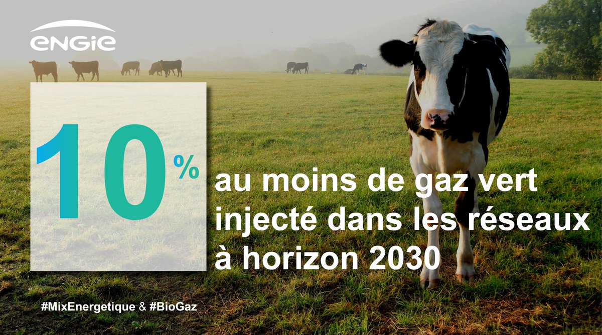 ENGIEgroup's tweet photo. Nous allons mobiliser 800M€ dans les 5 ans pr dév. les #gazverts.
➡️Objectif : conforter les 10 % au moins de #gazvert injecté dans les réseaux à horizon 2030, inscrit dans la Loi de transition énergétique pour la croissance verte. https://t.co/0AXf60aW3S @Min_Ecologie https://t.co/lkEM97il40