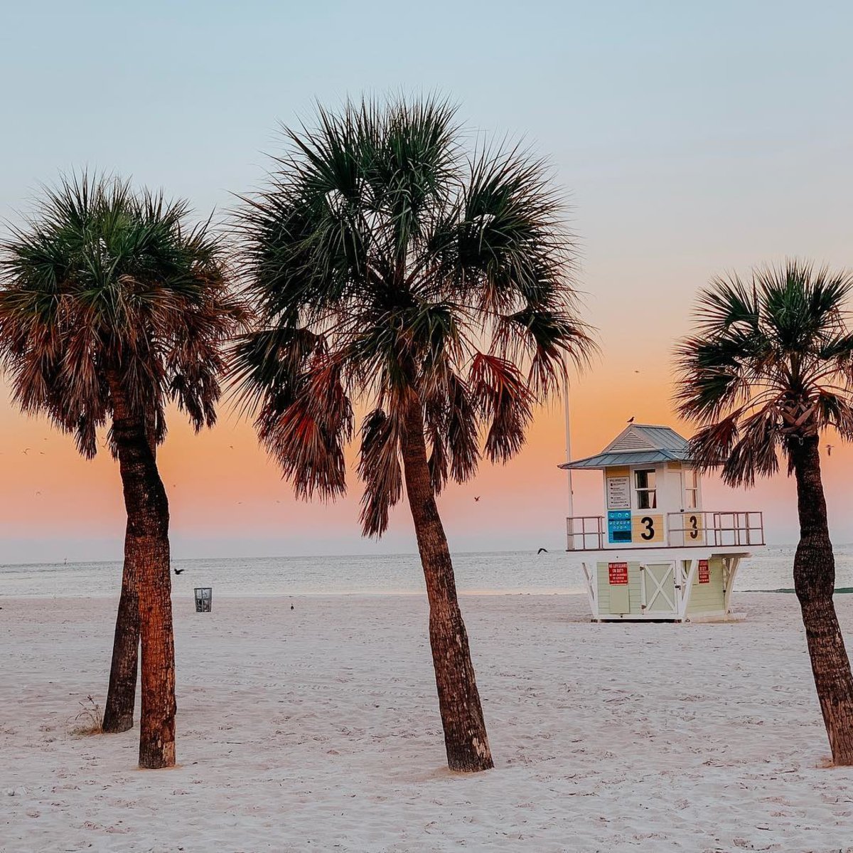 Sunny Fridaze.

(Photo: @sunnysweetdays)