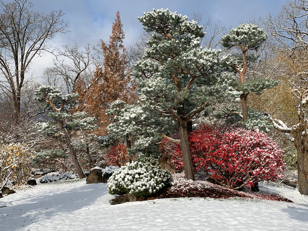 David J. Anderson (@therealdja) on Twitter photo A little snow.... A little sun.... We don't get to see this often!
#Garden closes for the season this Sunday @ 4:00.
Thank you for another great year!
<a href="/AndersonGardens/">Anderson Gardens</a> #RockfordIL A little snow.... A little sun.... We don't get to see this often!
#Garden closes for the season this Sunday @ 4:00.
Thank you for another great year!
<a href="/AndersonGardens/">Anderson Gardens</a> #RockfordIL