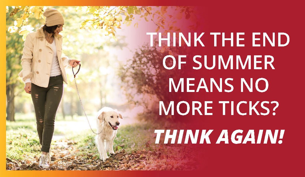 golfglenvet's tweet image. Fall is a peak activity period for adult #blackleggedticks
(associated with #Lymedisease) that look for hosts
from late September to mid-December. Call us for
#tickcontrol medication to protect your dog during
#ticks’ 12-week extended fall peak.
#ThinkAgain #12Weeks