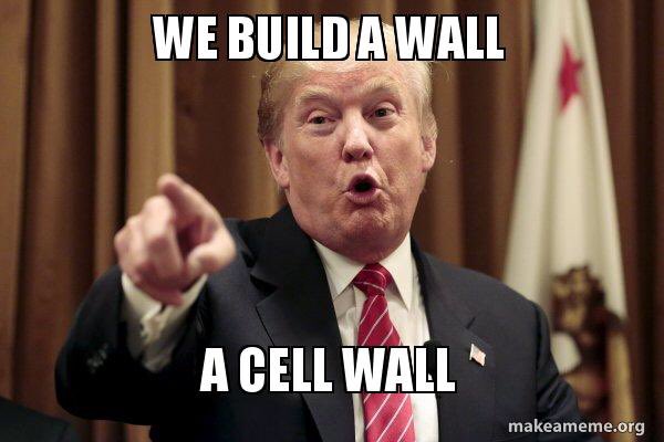 cdub4prezi's tweet image. When viral nucleic acids illegally enter the cell