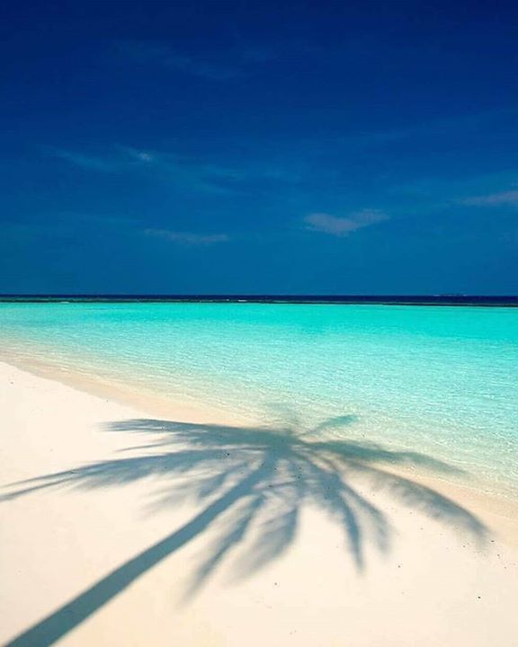 Welcome to paradise! 🌎
See more at <a href="/kotravellers/">Oliver Neville</a>  - ift.tt/21dngc4