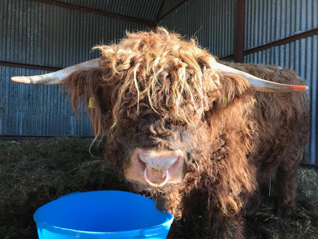 Farmers Eye tweet media