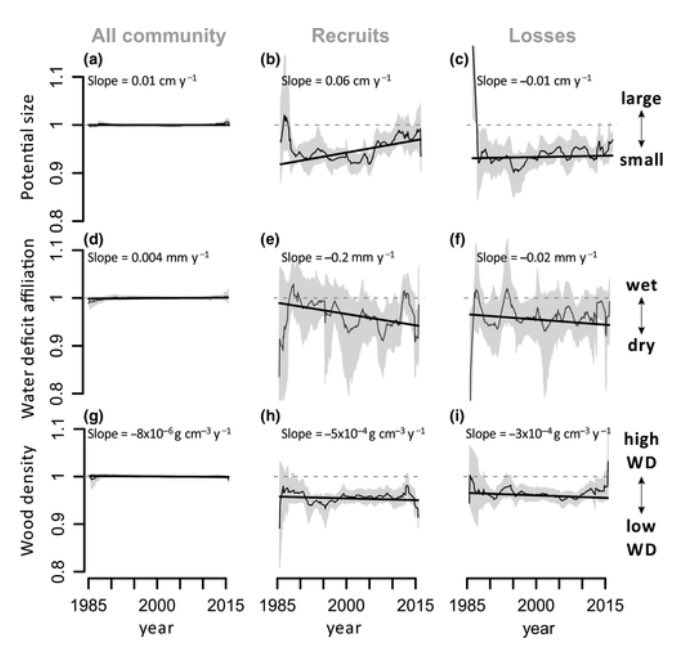 Amazonian tropical forest response to climate change #tropicalecology #drought onlinelibrary.wiley.com/doi/10.1111/gc…