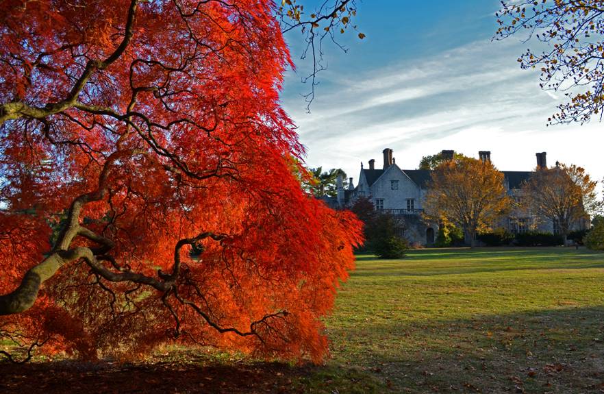 PlantingFields's tweet image. Visit us this weekend at Planting Fields Arboretum to see the gorgeous fall foliage!  The park is open 9:00am-5:00pm, $8 parking fee!  #plantingfieldsfoundation #plantingfieldsarboretum #oysterbay #nysparks #lovefallfoliage #lifallfoliage #lovenature #prettyleaves