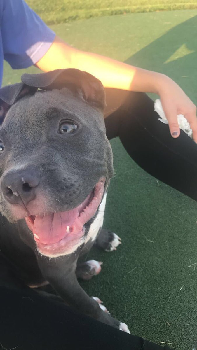 MorganBisbey's tweet image. Appreciation post because my baby’s growing up way too fast😭