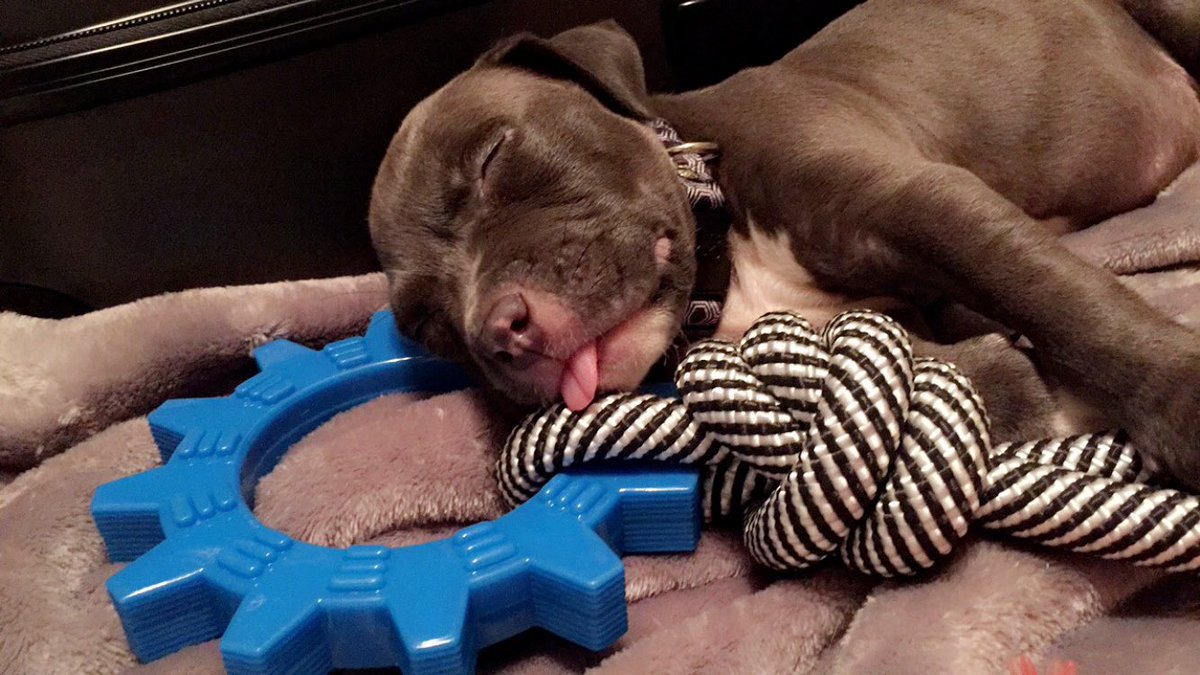 MorganBisbey's tweet image. Appreciation post because my baby’s growing up way too fast😭