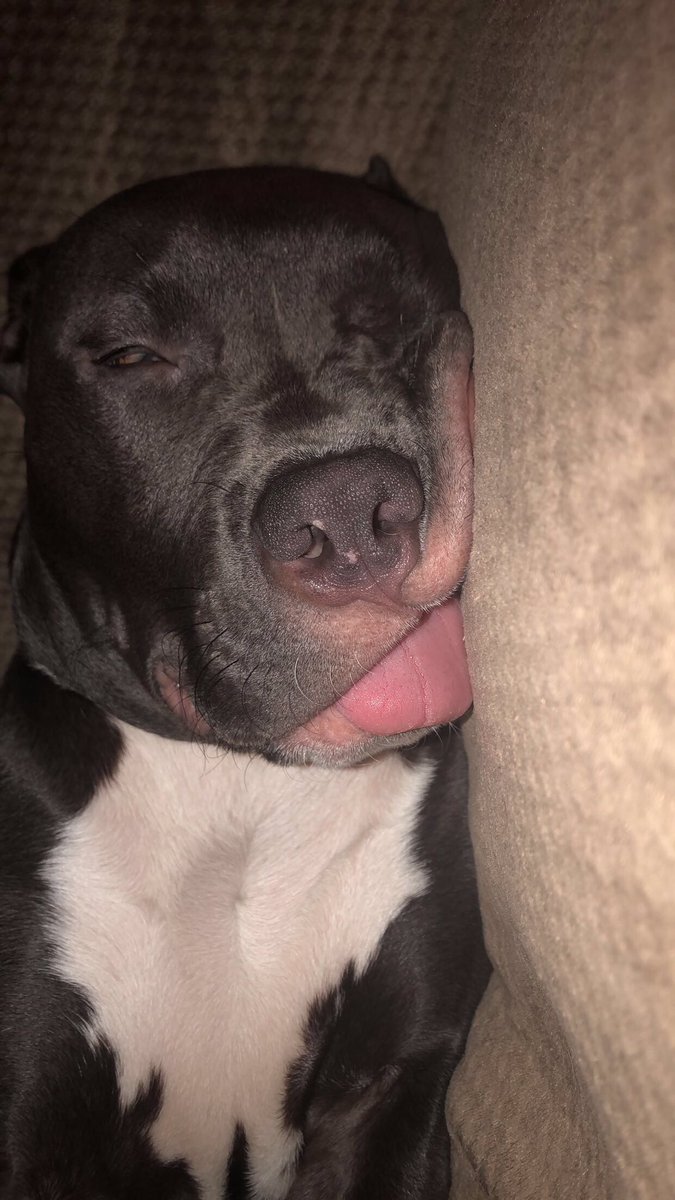 MorganBisbey's tweet image. Appreciation post because my baby’s growing up way too fast😭