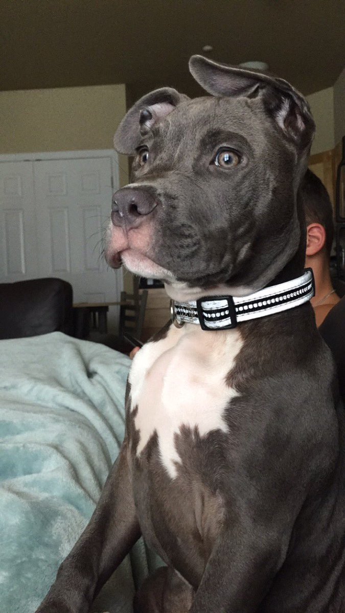 MorganBisbey's tweet image. Appreciation post because my baby’s growing up way too fast😭