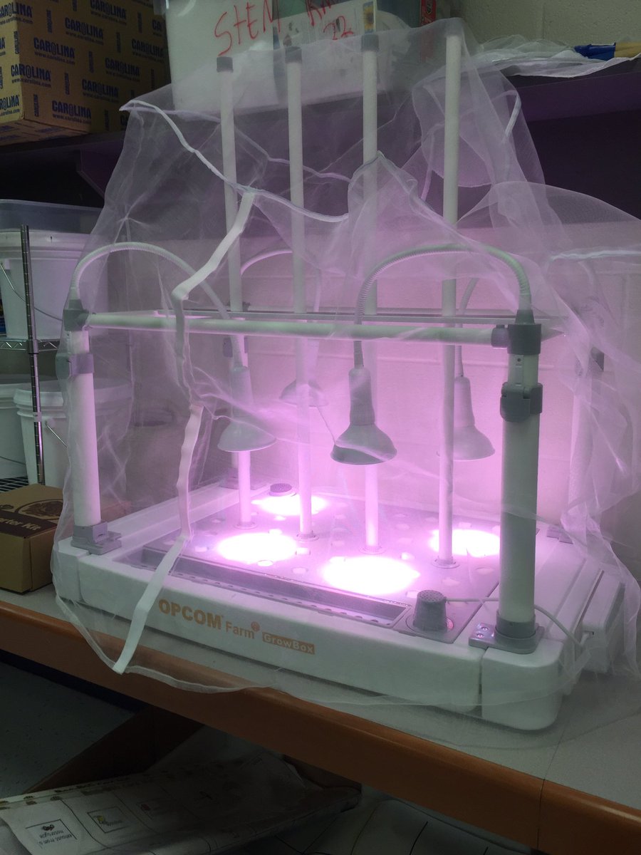 Thank you <a href="/opcomfarm/">OPCOM</a> for this amazing hydroponic garden. We can’t wait to harvest! @gailbrady508 <a href="/Dr_Mihalik/">Dr. Gregory Mihalik</a> <a href="/SugarlandES/">Sugarland Elementary</a> #LCPS19