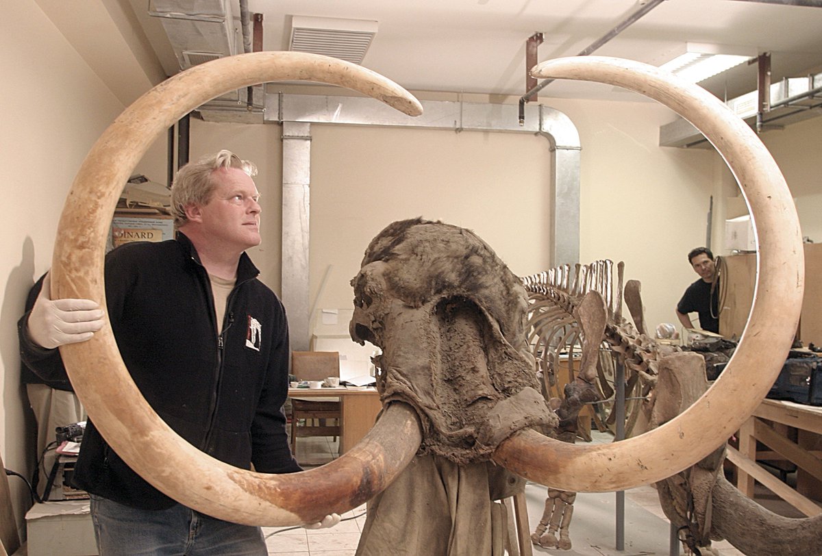 The Yukagir woolly mammoth lived 22,500 years ago. Read about this remarkable discovery from the #IceAge geonet.geo.auth.gr/12icbs/proceed… #FossilFriday

Photograph: Francis Latreille.