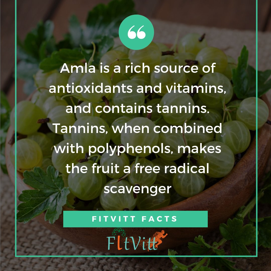 Amla has always been an integral part of #Indian #household. To know more visit bit.ly/2QP5D3N

#Fitvitt  #Amla #Amlapowder  #Gooseberry  #Superfood  #SuperfoodPowder  #HealthyFood  #Healthyfoodporn  #Healthyfoodtips  #Organicfood  #Fit  #Fitspo #Fitfam  #FitFood