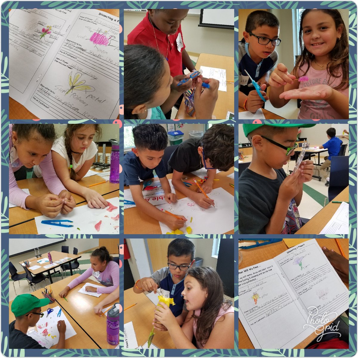 MrsMookEES's tweet photo. What a fun day for these #BuddingBotanists observing, dissecting, drawing, and labeling flowers and seeds @NaplesBotanical ! @EESpanthers @EES_4th_Graders #FindYourFIRE #movemountains https://t.co/3BM9nVmoSt