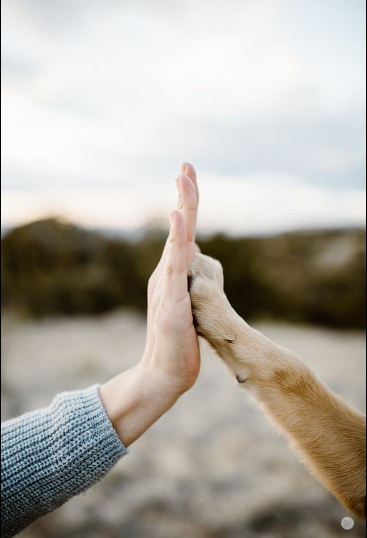 Elige bien en quién confías.