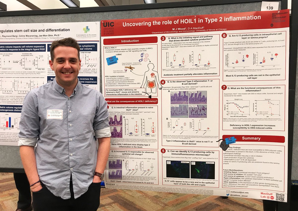 MattJohnWood's tweet photo. I’ll be presenting our poster on HOIL1 and type 2 inflammation at the @uiccom research forum between 1-4pm, come say hi! @UICMicrobiology @MacduffLabUIC https://t.co/LPeXrjvsWZ