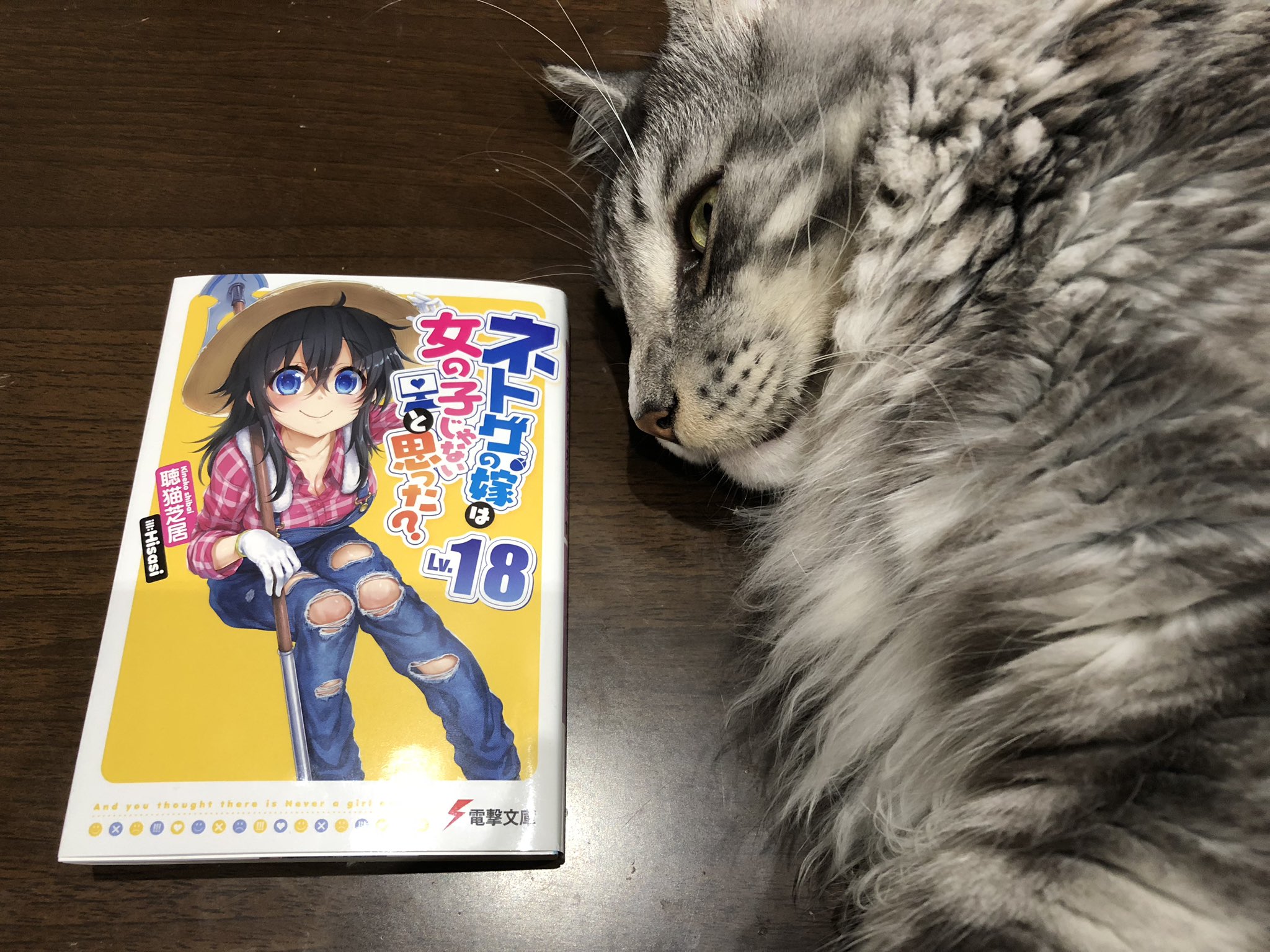 聴猫芝居 本日 ネトゲの嫁は女の子じゃないと思った Lv 18 発売です 私は 進学をやめるぞーっ 絶対にダメにゃぁぁ 暴走するマスターと 立ちはだかる猫姫 どうなるネトゲ部員の進路 そんなお話です よろしくお願いします