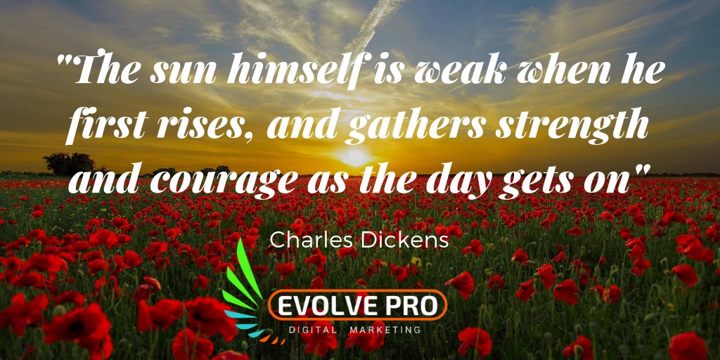 EvolveProDigit's tweet image. Quote of the day !

#motivationalquotes #entrepreneurlife #entrepreneurship #inspirationalquotes #businessowner #socialmediamanagement #socialmediamarketing #businesstips #onlinebusiness
#internetmarketing #motivation  #entrepreneurs
