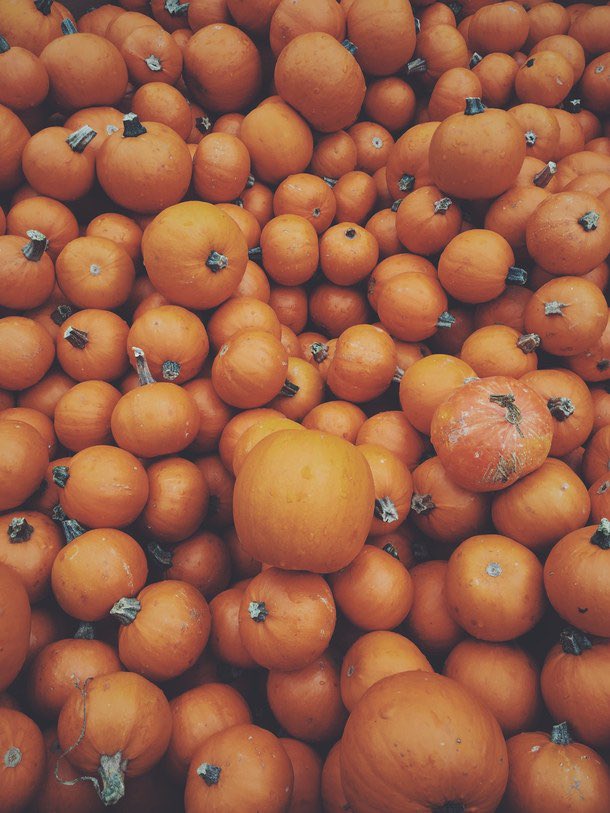 adrenalineviews's tweet image. colors of fall