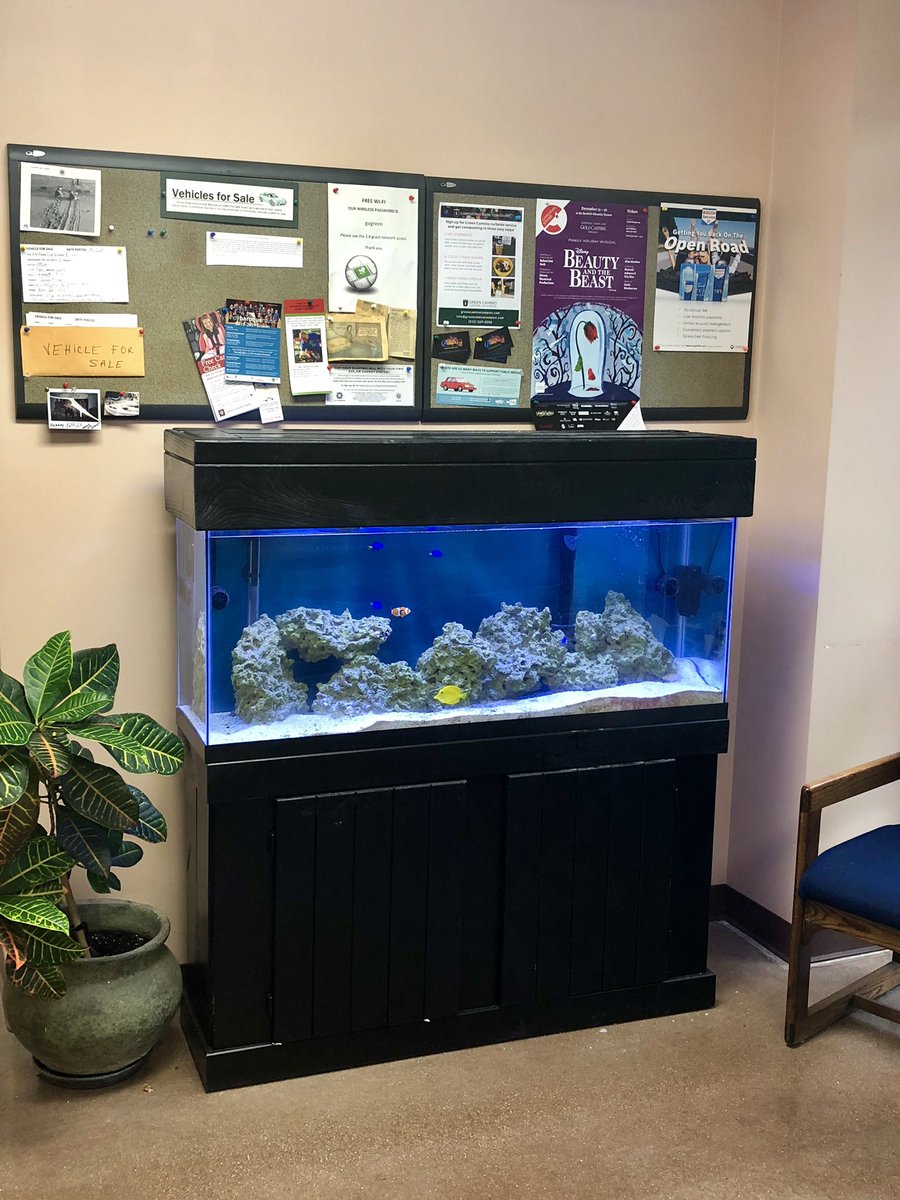 It’s cold outside. But always sunny and 77 in your aquarium.