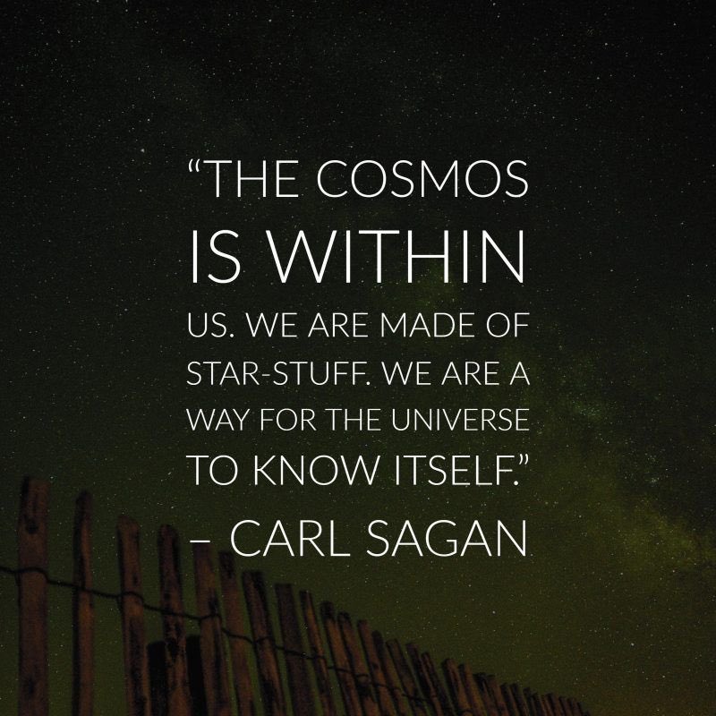 Happy birthday Carl Sagan  