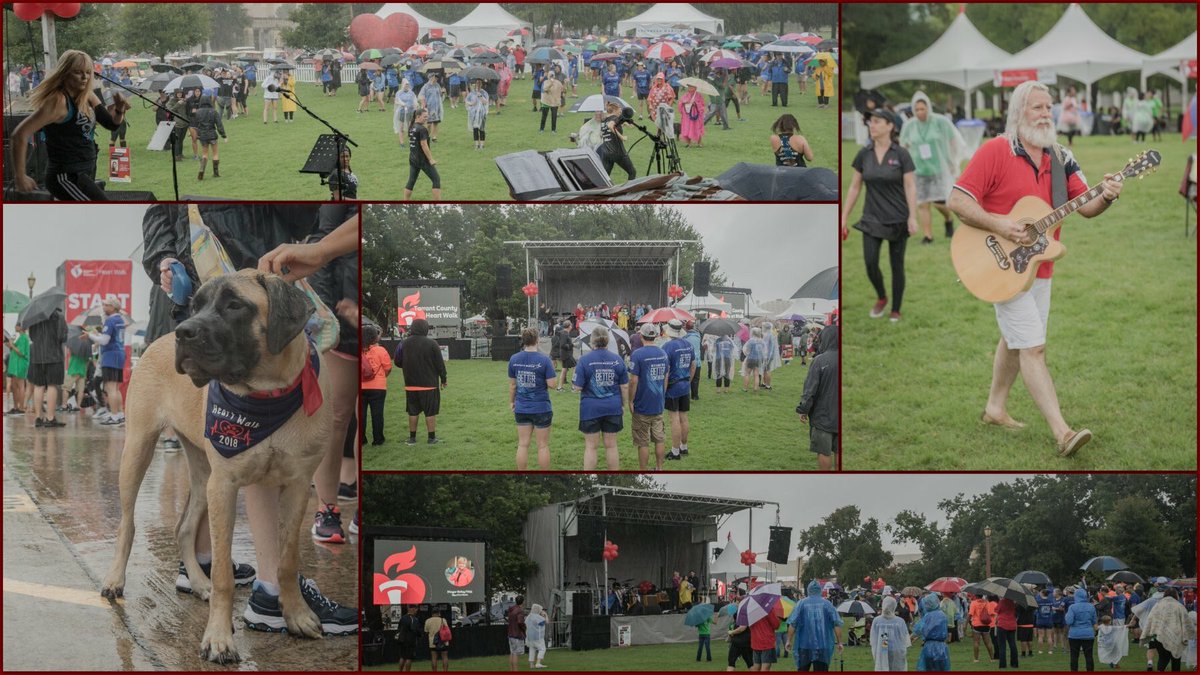 millerproavl's tweet photo. It felt awesome to have been part of another great cause. Totally worth hanging out in the pouring rain. Thanks to our guys (and gal) Jason, Brent, Dave, Toby, James, Max, Jeremy, and Jessica for making it happen! #ledvideowall #livesound 

Photos courtesy of Trey Daugherty https://t.co/P9j0WIubdq