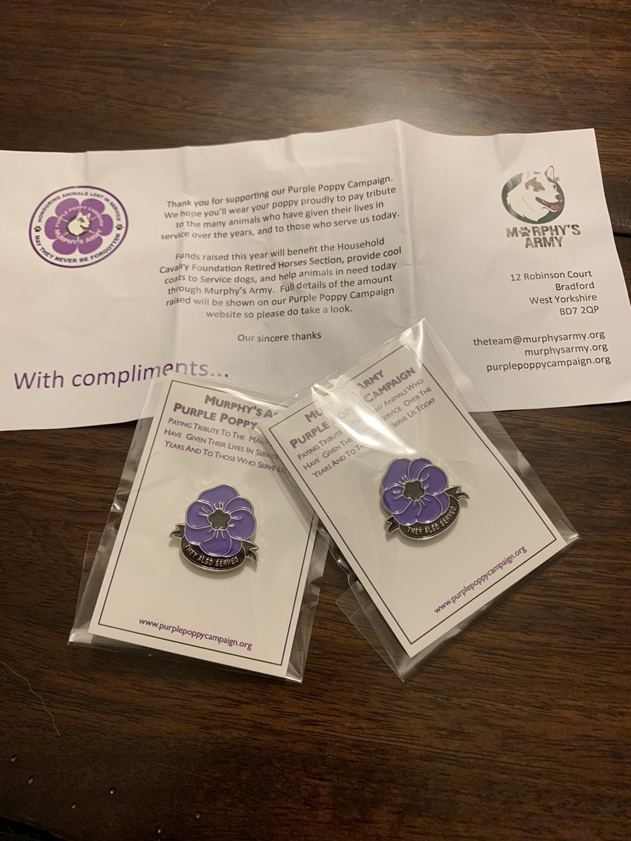 amyclement021's tweet photo. @RuthJeffery9 @MA_PurplePoppy Bruce &amp; I meant to follow back weeks ago to thank you Ruth for getting the word out and also to the kind folks at Purple Poppy for recognizing the heroism of all animals in war. We elected for pins because of all the wet &amp; muck Bruce gets into daily 🙄 https://t.co/9HYJU4KdSQ