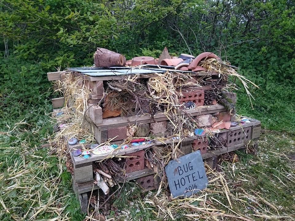 We want to make some giant bug hotels for our Nature and Wellbeing sessions. We are on the hunt for materials such as old pallets and bricks. Get in touch with Sammy on sfraser@somerset.gov.uk if you can help <a href="/healthnhills/">Kristen Lambert</a>