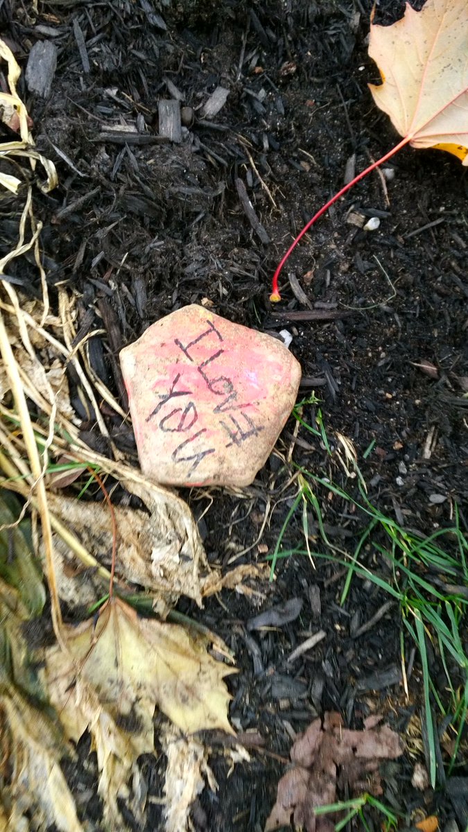 When you ask the universe for a sign and this appears on your path 
#JOY