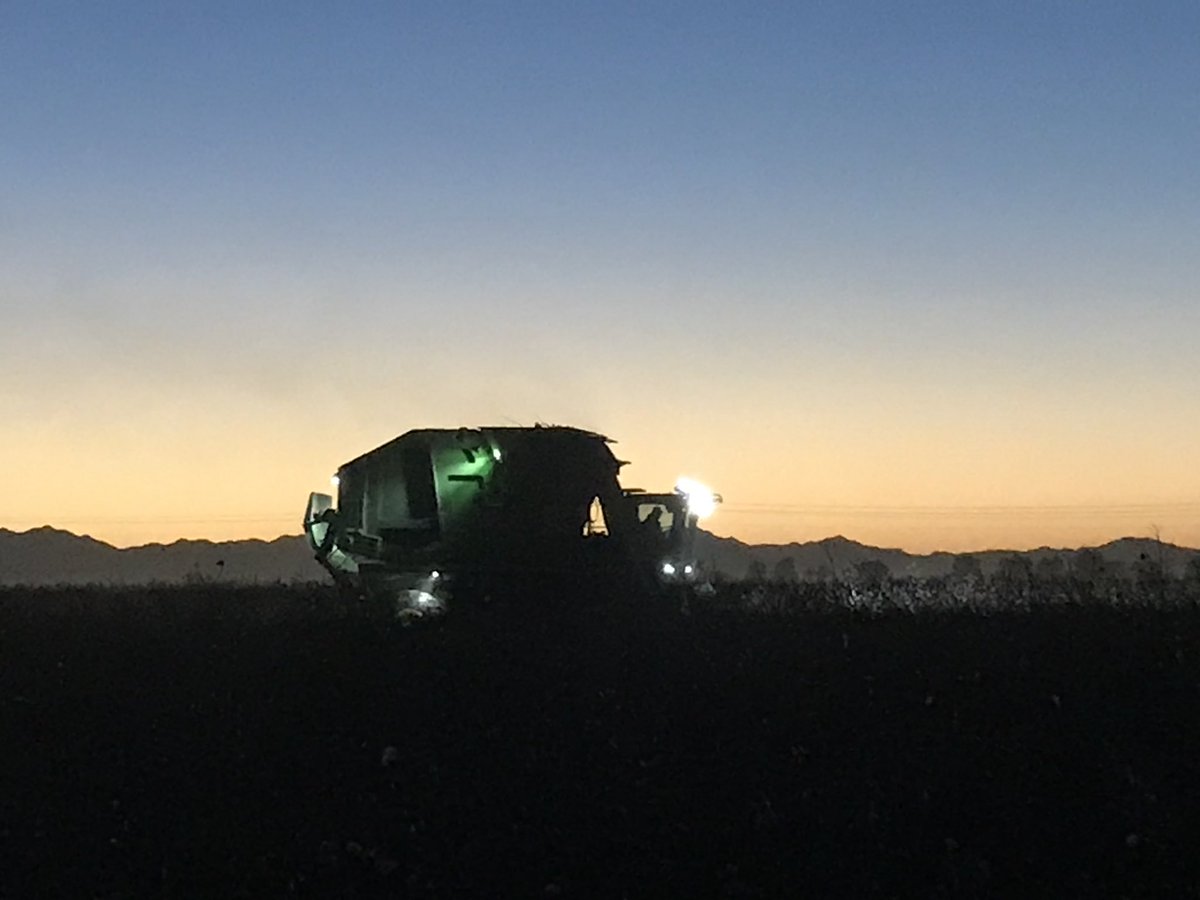 RDOBrantP's tweet photo. #YieldMapping with a new #JohnDeere #CP690 #Cotton picker into the evening. #PrecisionAg https://t.co/xtHVkJzY1L
