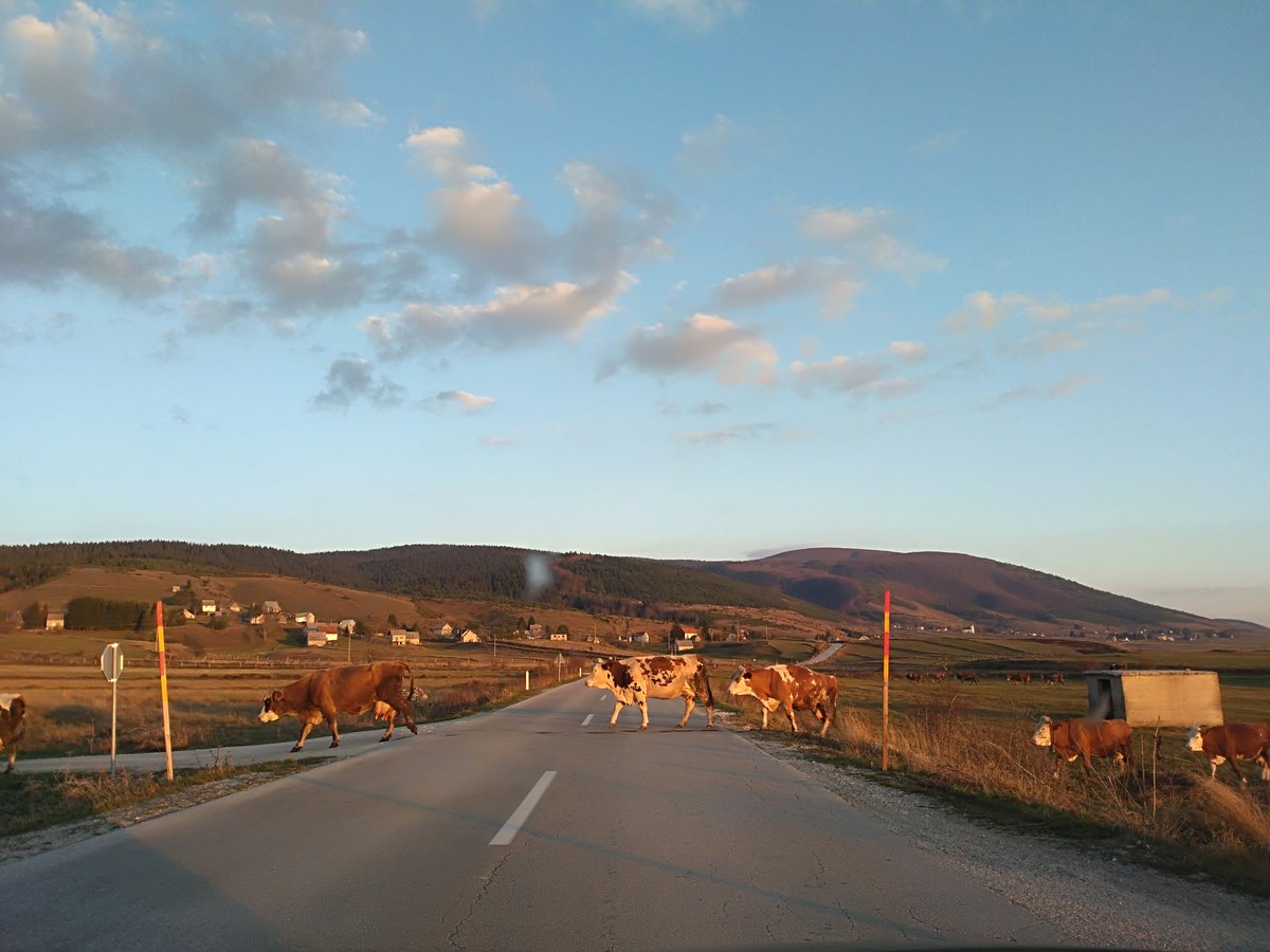 dakishoz's tweet photo. Danas. Niti malo me ne ljuti kada ovakav prizor prekine moje cestovno putešestvije. #Suhova #Kupres #Visoravan https://t.co/nKkq2bWTdt