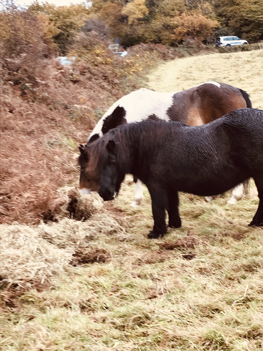 CeridwenP's tweet photo. Calm before the storm hit Devon 🙄 https://t.co/SKDIPRGRfJ