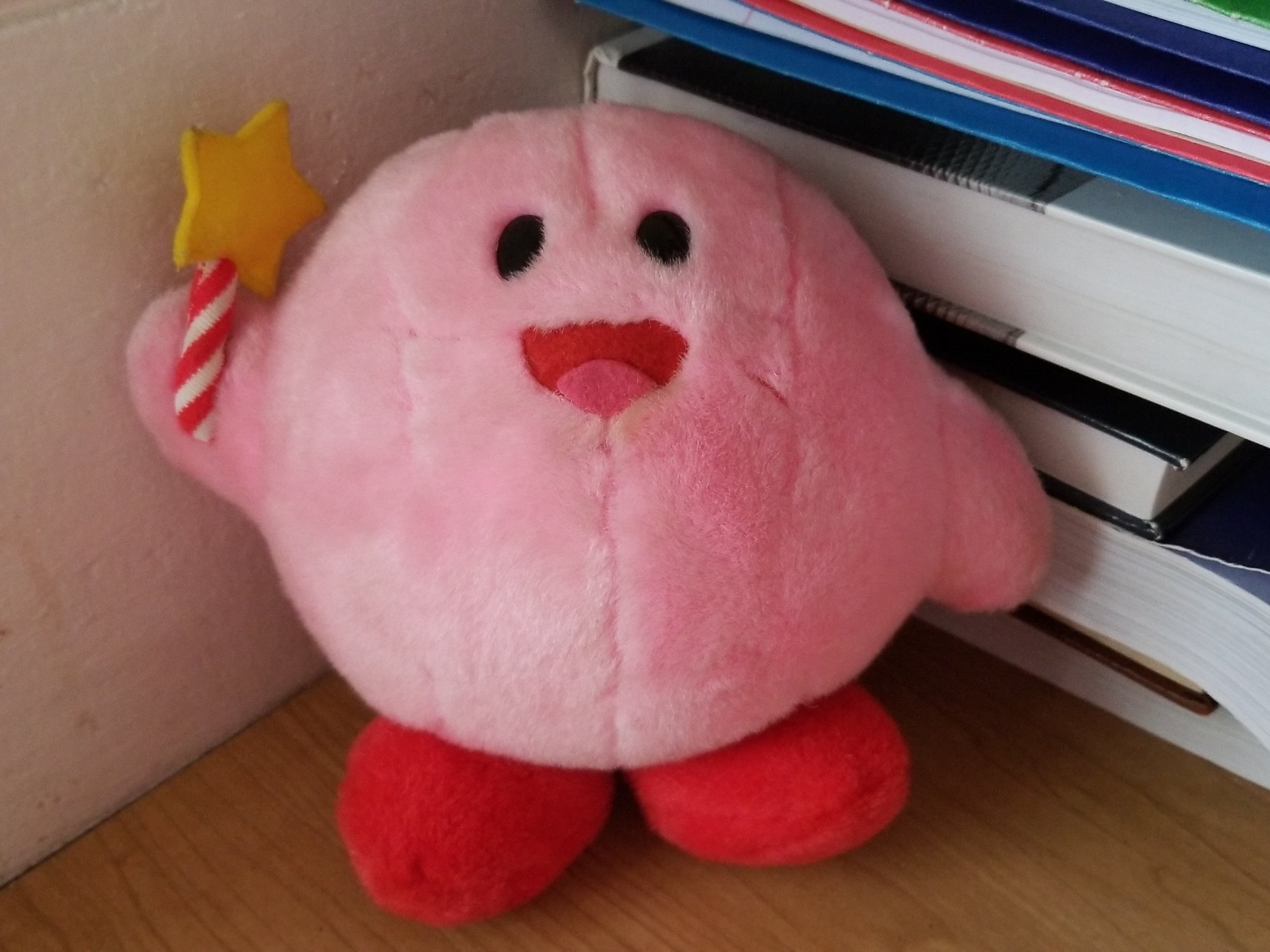 Ryte on X I m not much of a religious person but I think I finally found the one true god I now own the elusive and immortal Bandai Star Rod Kirb plush