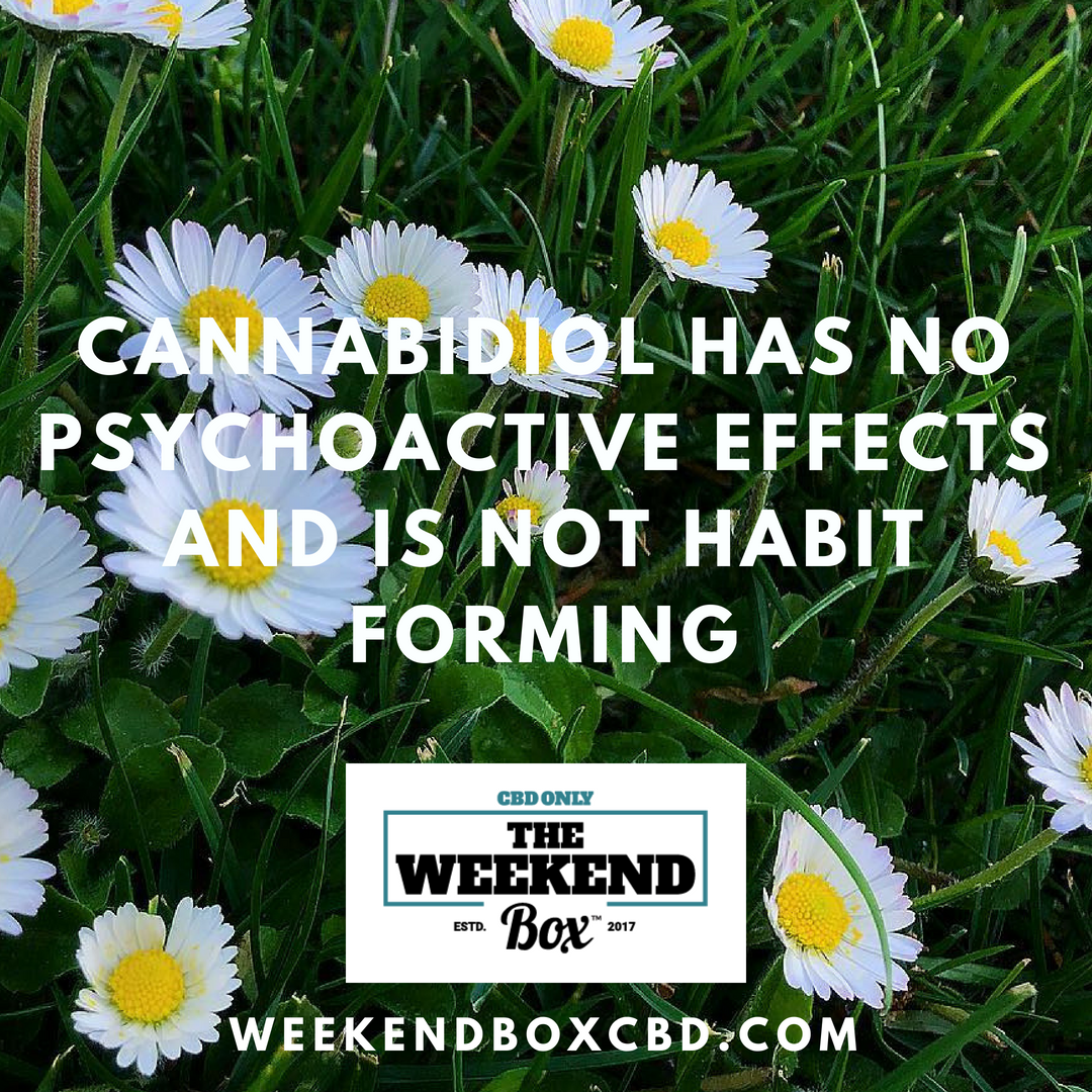 WeekendBoxCBD's tweet photo. And it has wonderful benefits 🌿#CBD

https://t.co/aWQqdhxWwa https://t.co/xGsRMVmV1e
