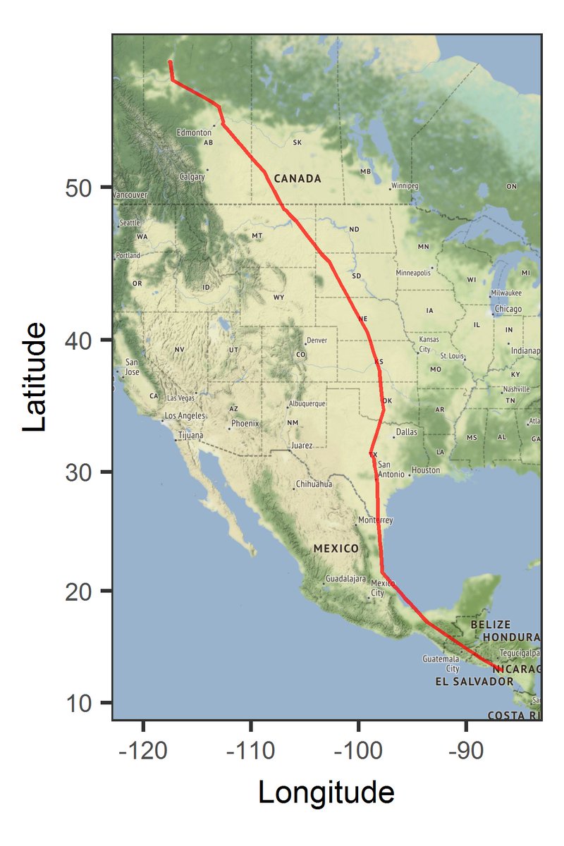 After flying >5000 km over the past 4 months, this female #americankestrel tagged in northern Alberta is now hanging out in Nicaragua! #fullcyclephenology #ornithology #migration #migratorybirds #gps #movementecology #albertabirds #nicaraguabirds @SERDP_ESTCP_RC @WarneintheWild