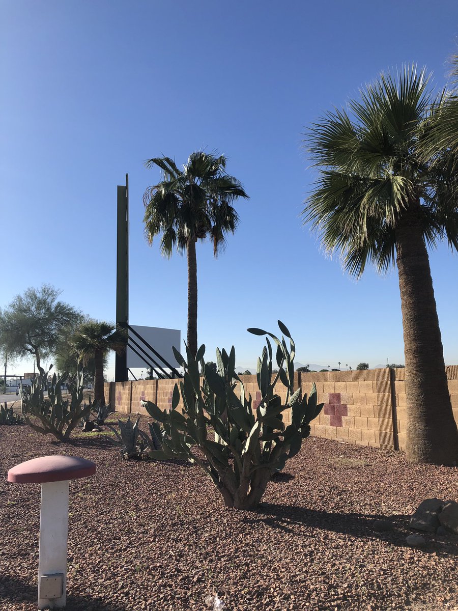 KayTheNotary's tweet image. 