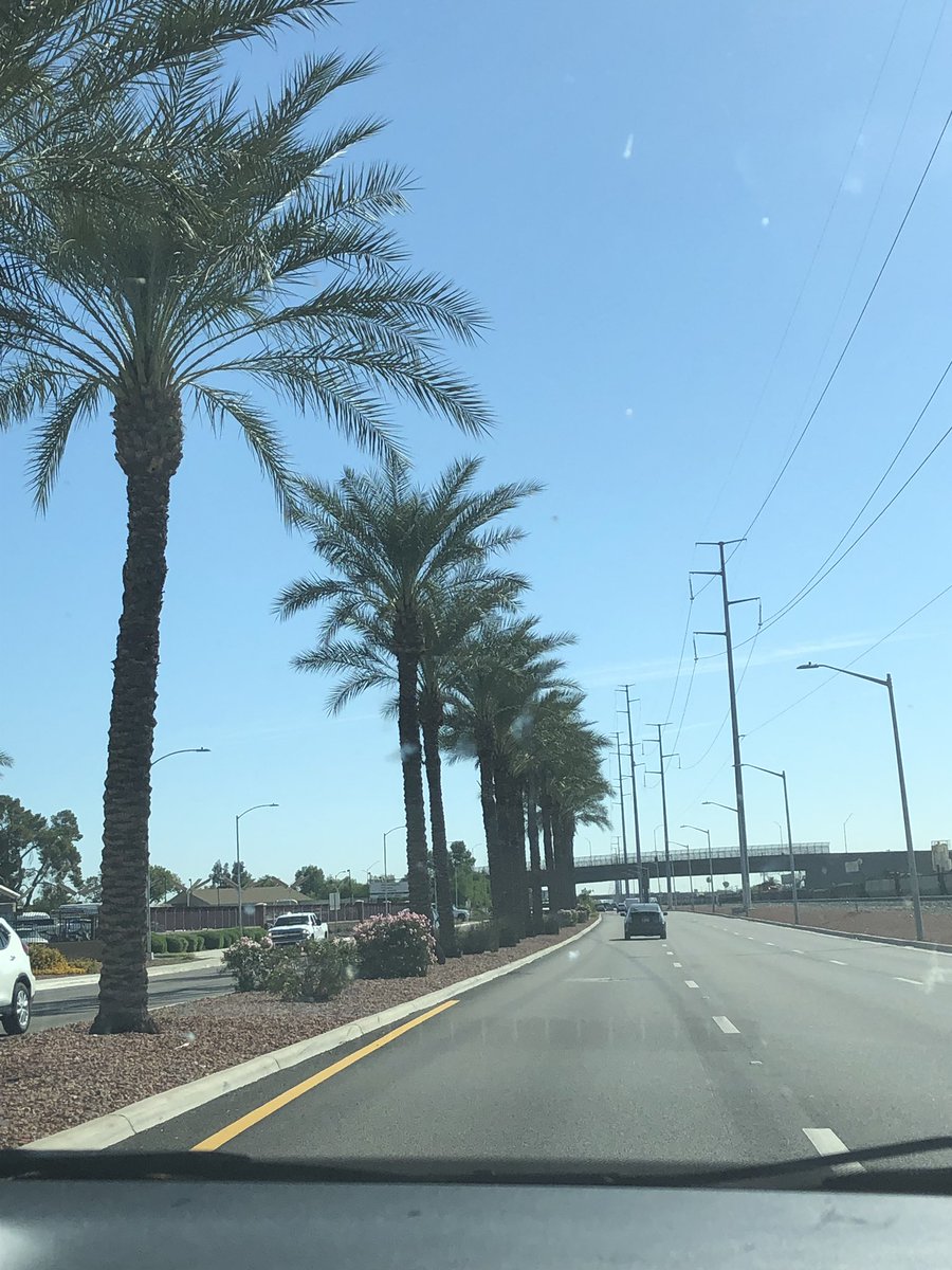 KayTheNotary's tweet image. 