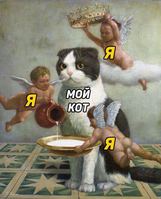 DrlpVsLW4AAF8ct?format=jpg&name=900x900