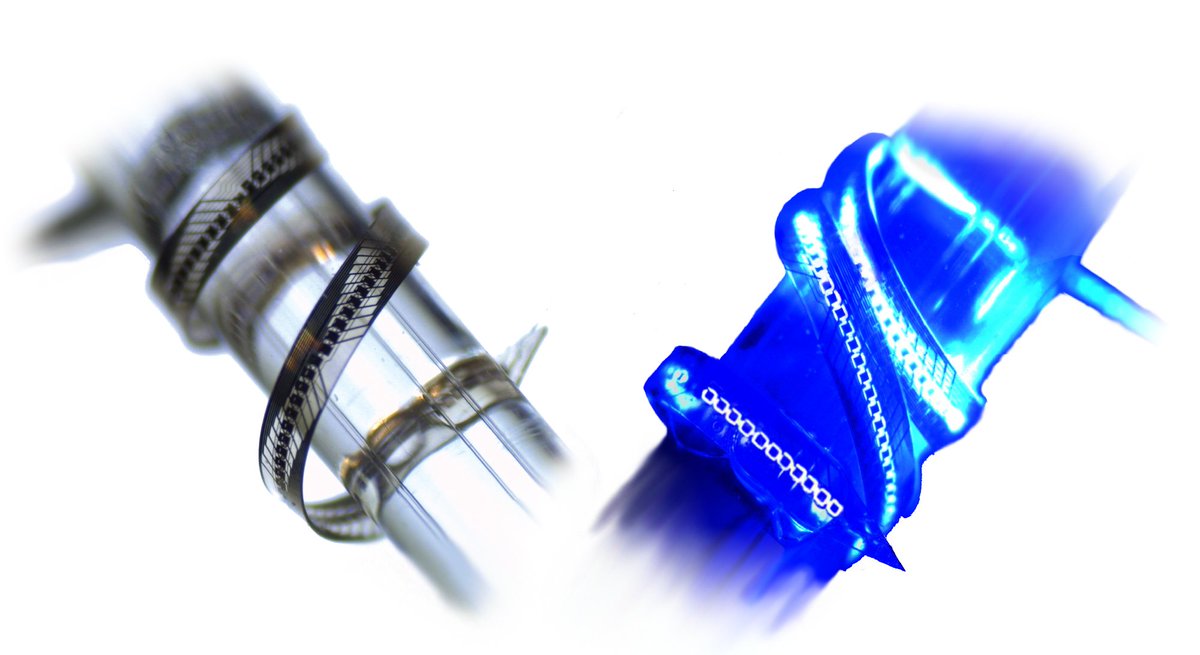 _ericklein_'s tweet image. A new approach for #cochlear implants using #optogenetics, based on integrated µ-#LED s.
doi.org/10.3389/fnins.…