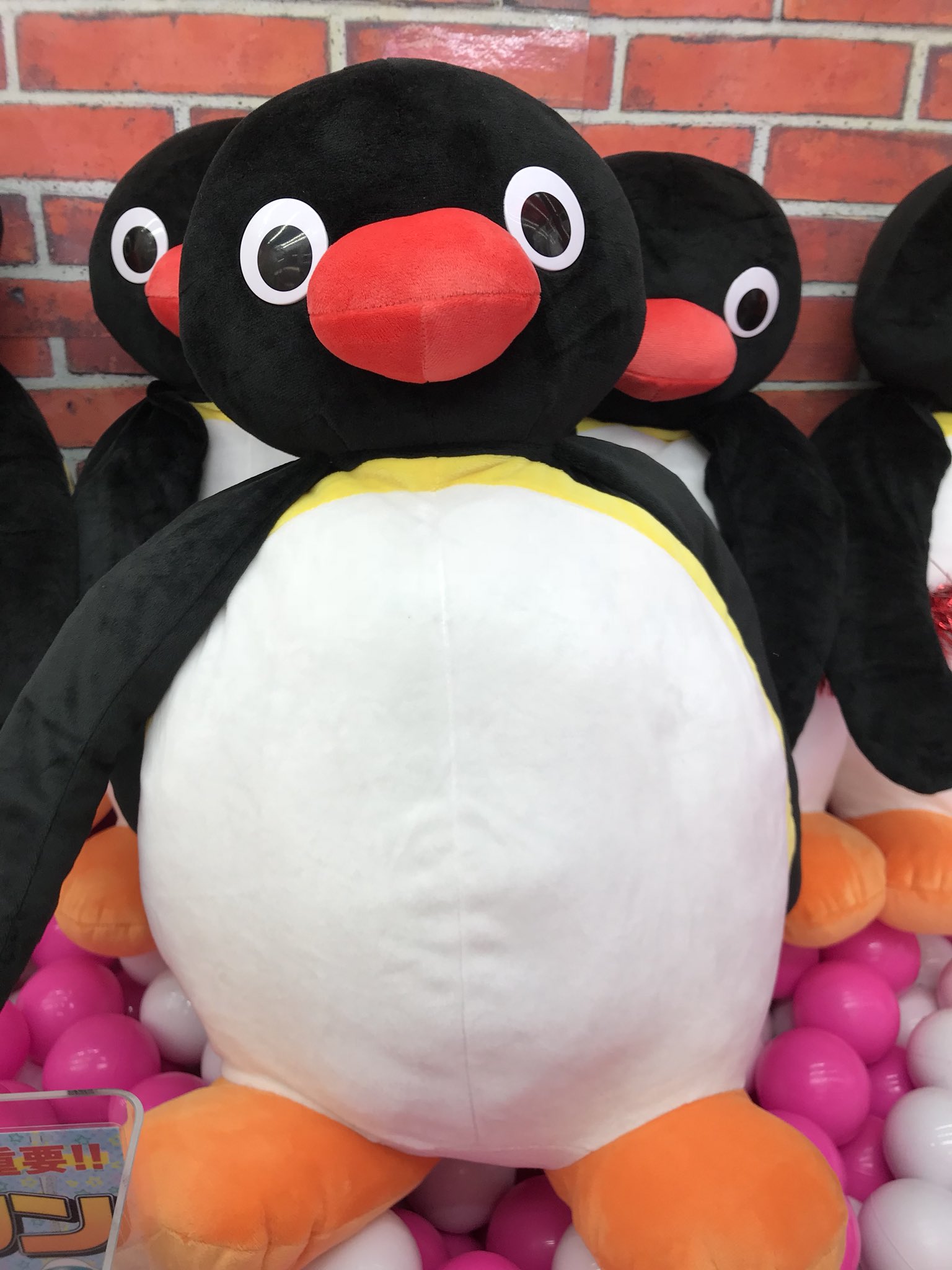 Twitter 上的 ドラマ下北沢 プライズ専門店 ピングー超bigぬいぐるみ 本日入荷 ペンギン プライズ かわいい ゲーセン 下北沢 T Co 6lh1q2jpcv Twitter