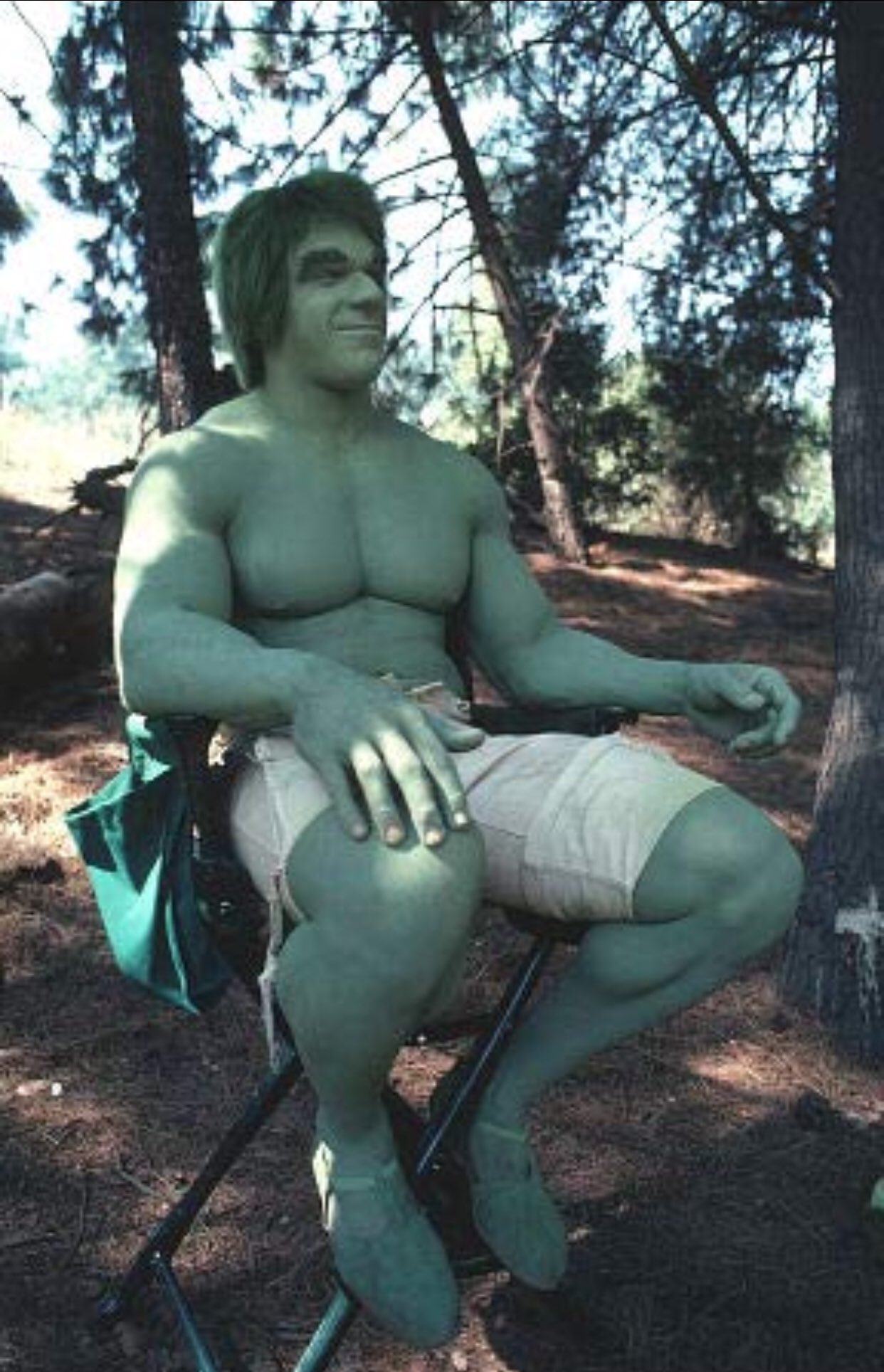 Wishing Lou Ferrigno a happy 67th birthday!! Watch him play on The Incredible Hulk ! 