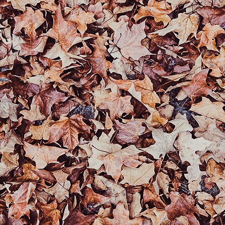 SoloProtect's tweet photo. Daylight saving time has brought us dark mornings, early nights, and a whole new set of risks to consider. Click through to find out how to make this “fall” a safe one. #worksolo #worksafe #daylightsavingtime https://t.co/EBsS2F2sTa https://t.co/5eFHYJRISH