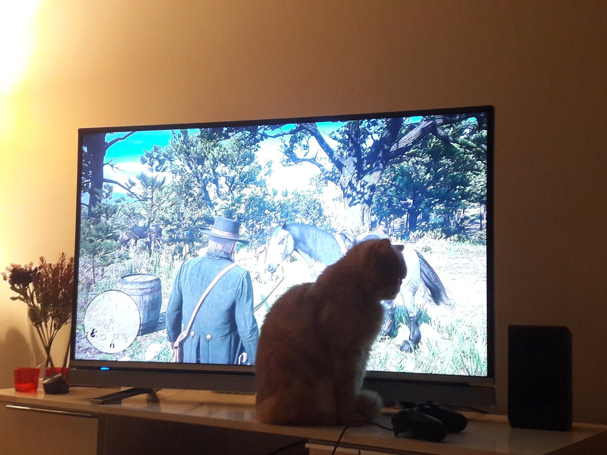 Bana engel olamayacaksın Yoda!